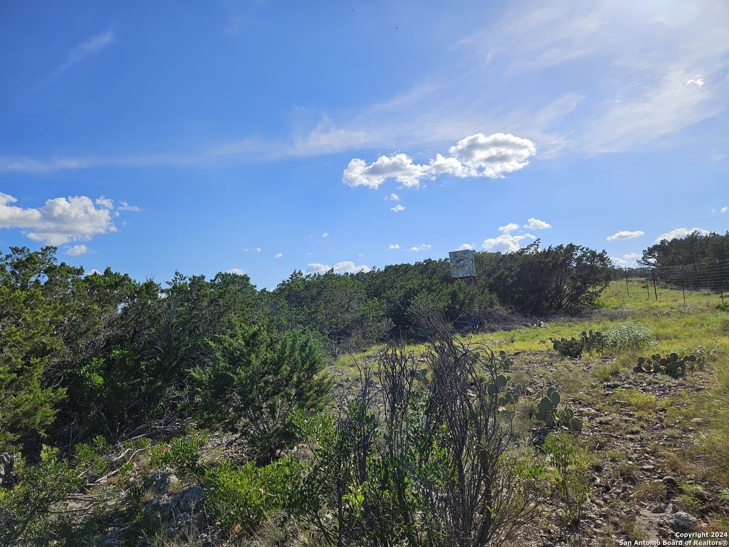 10 acres in Real County - photo 6