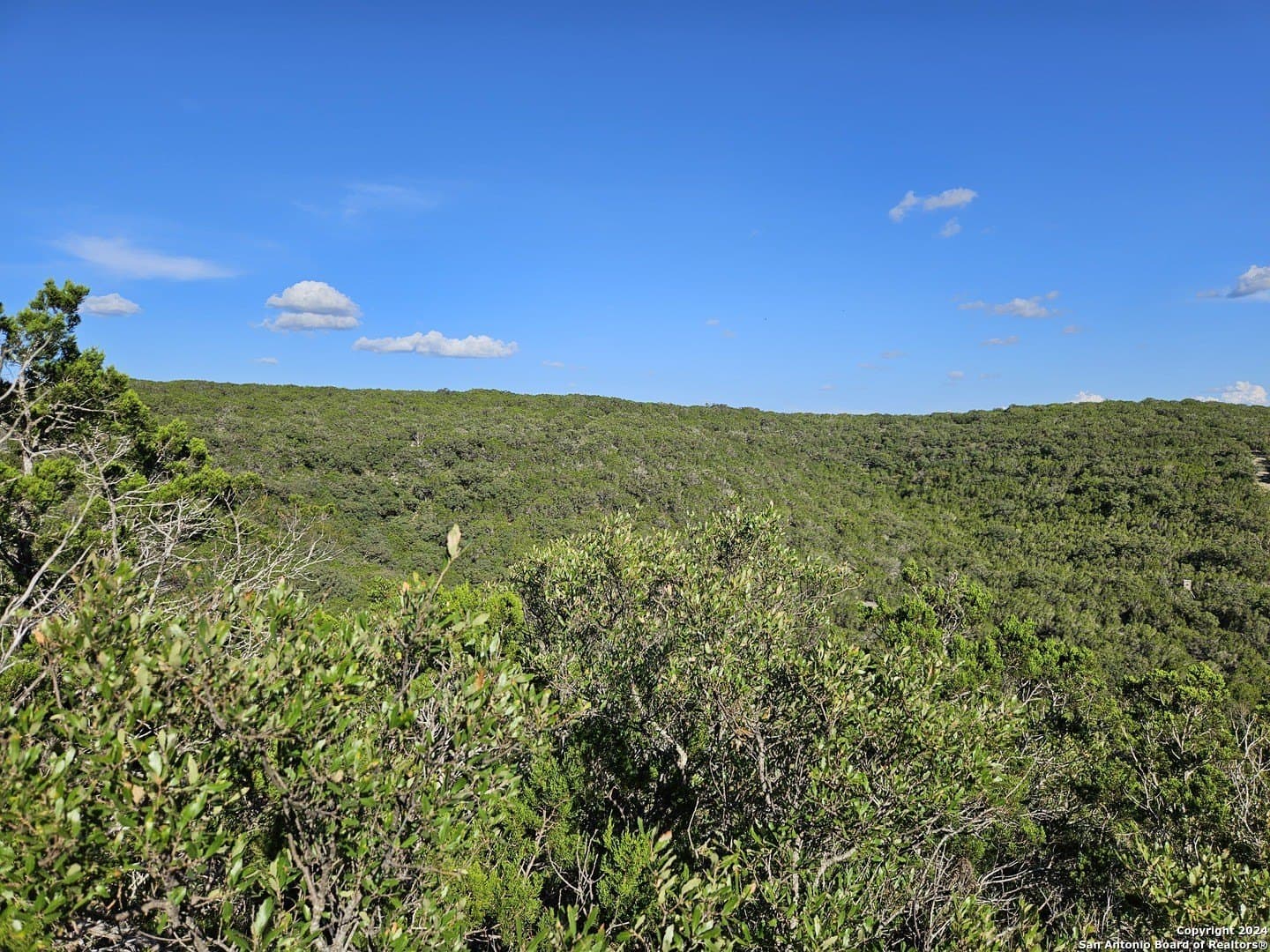 10 acres in Real County - photo 9