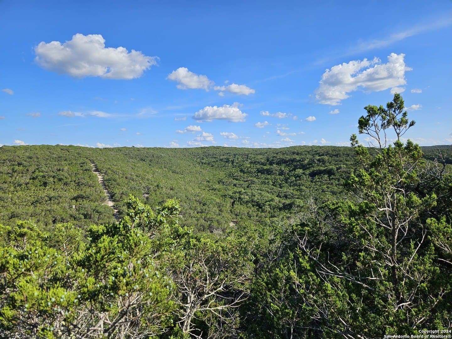10 acres in Real County - photo 4