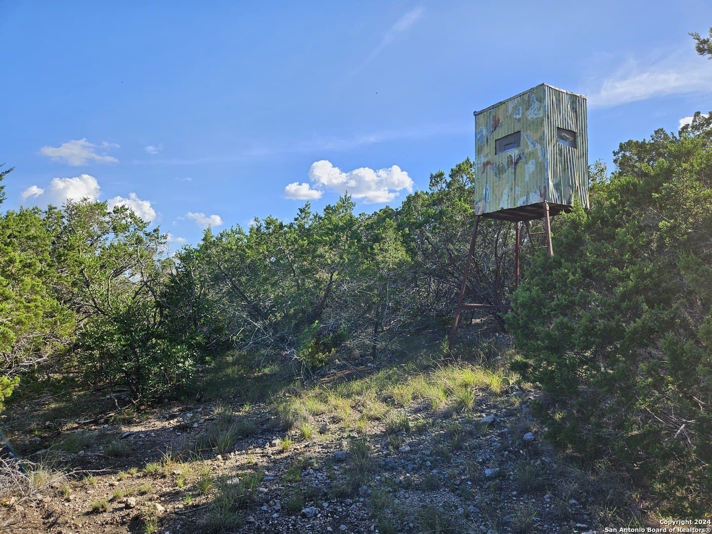 10 acres in Real County - photo 10