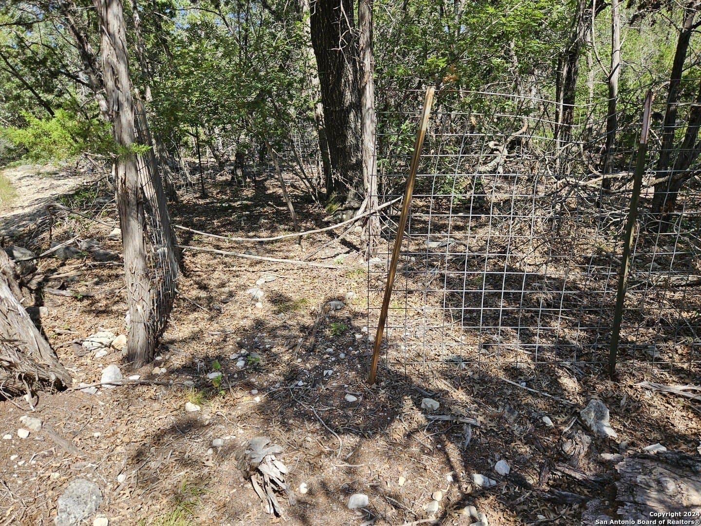 10 acres in Real County - photo 15