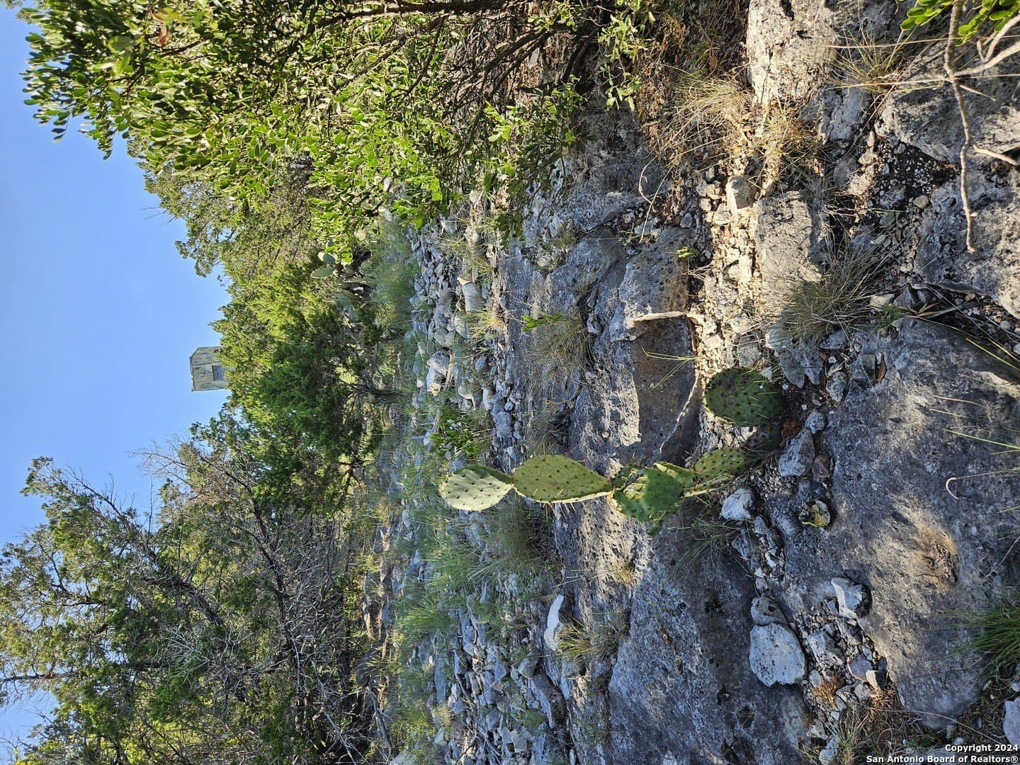 10 acres in Real County - photo 11