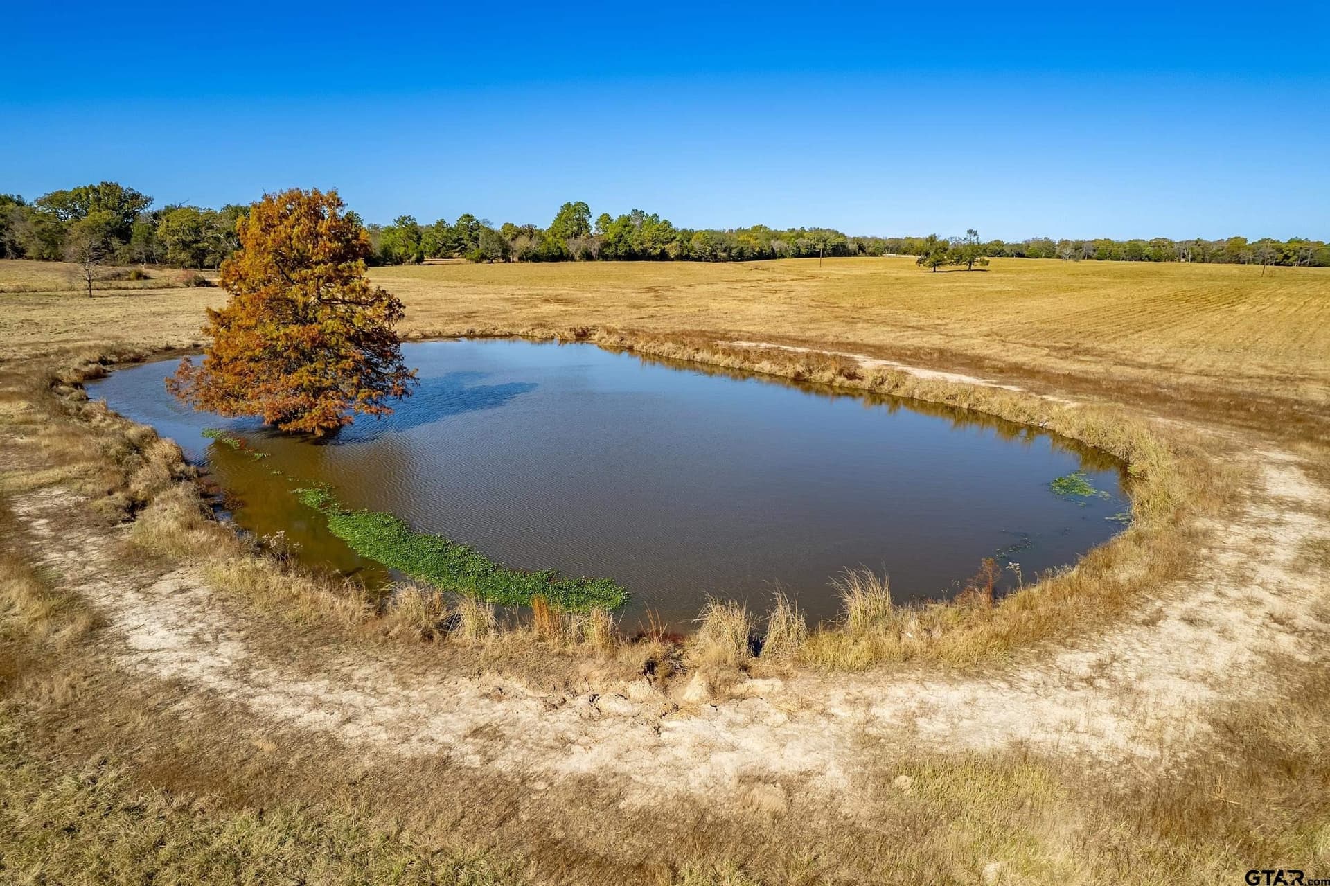 105.95 acres in Van Zandt County - photo 5