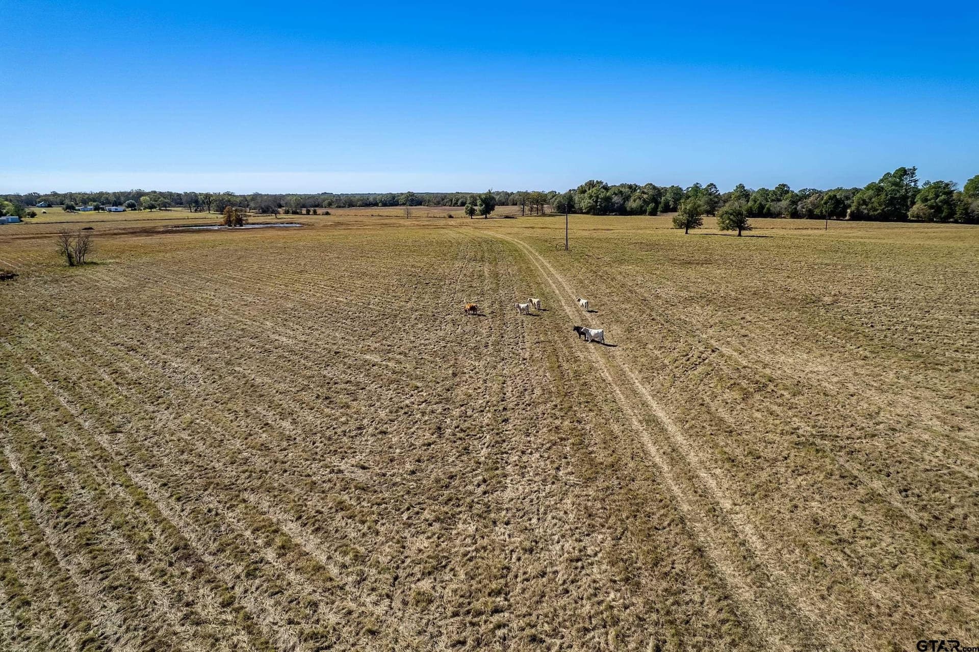 105.95 acres in Van Zandt County - photo 7