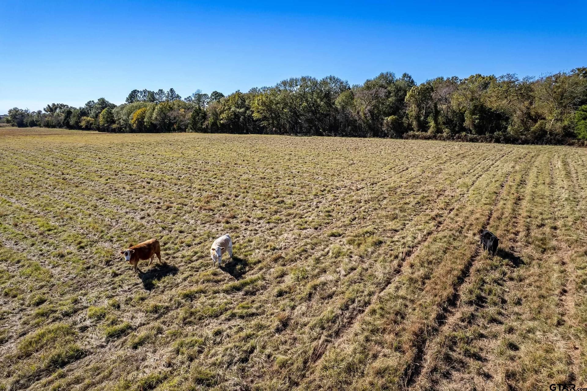 105.95 acres in Van Zandt County - photo 4