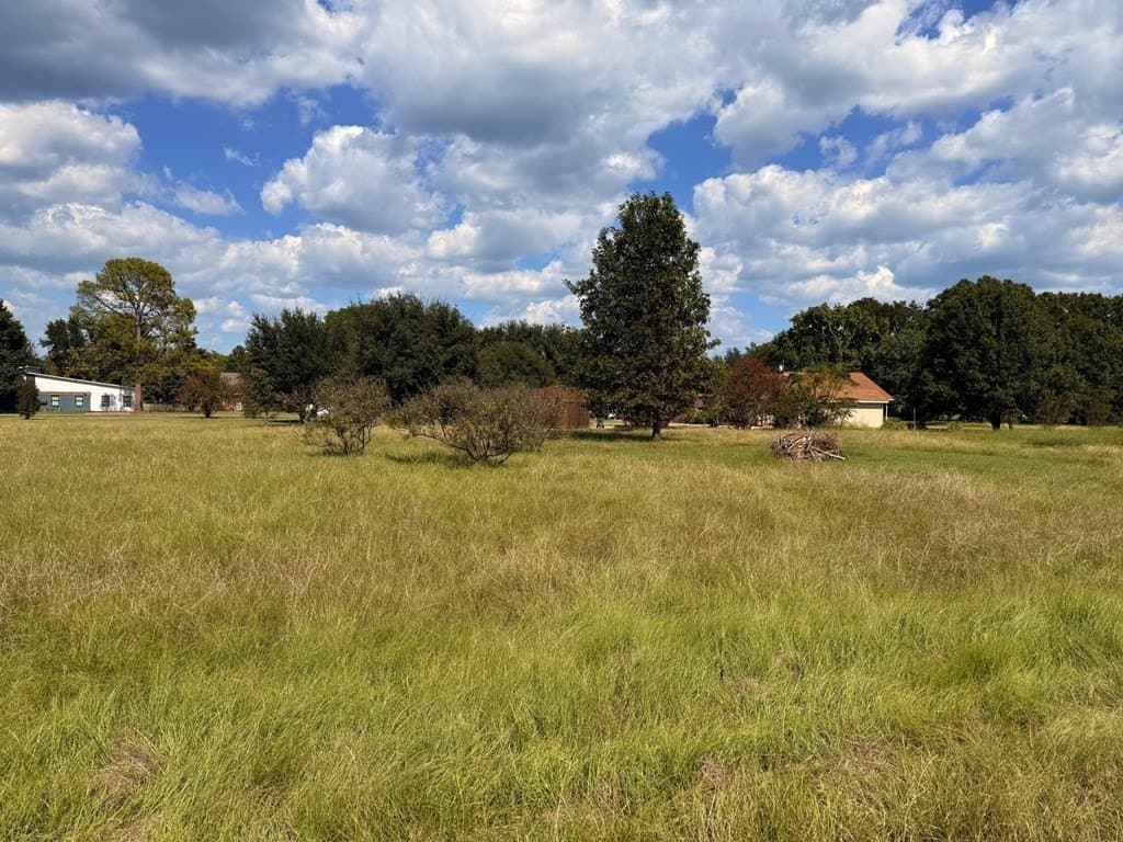 0.24 acres in Henderson County - photo 2