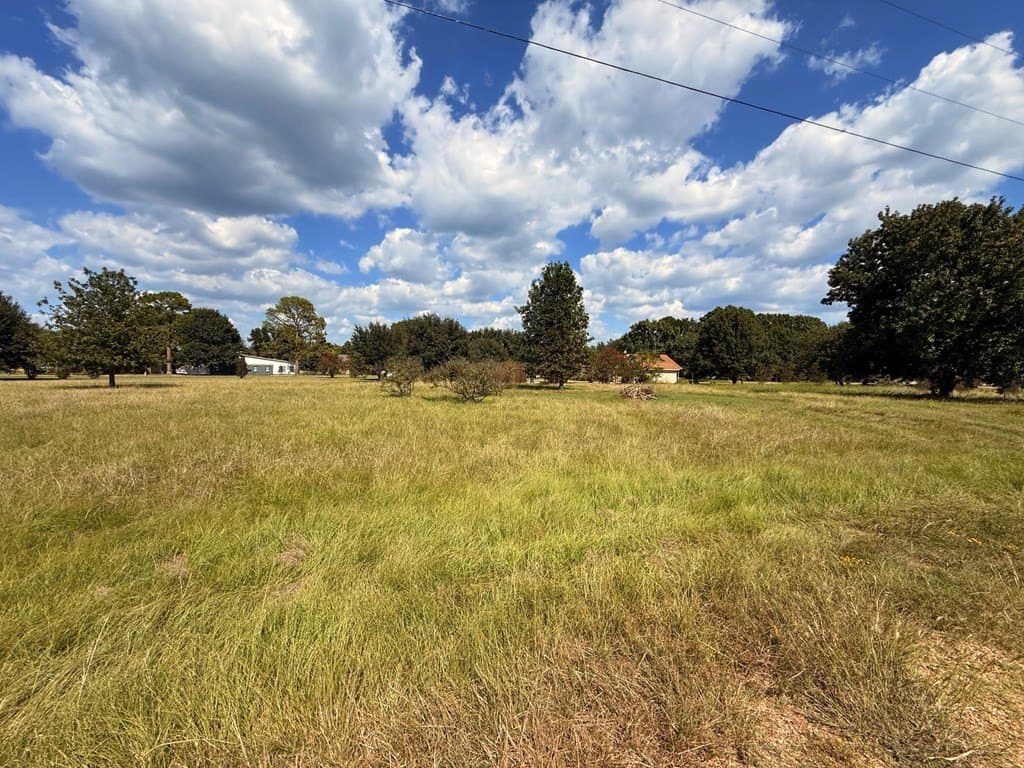 0.24 acres in Henderson County - photo 3