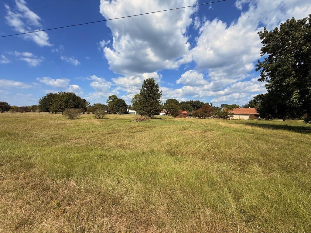 0.24 acres in Henderson County - photo 4