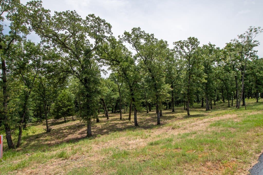 1.63 acres in Henderson County - photo 5