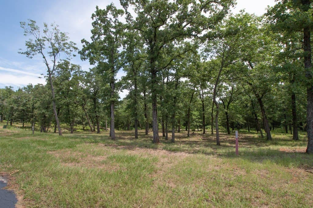1.63 acres in Henderson County - photo 4