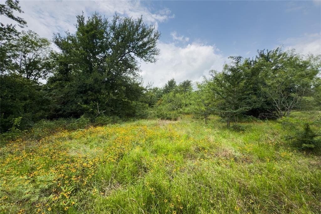 2.82 acres in Falls County - photo 2