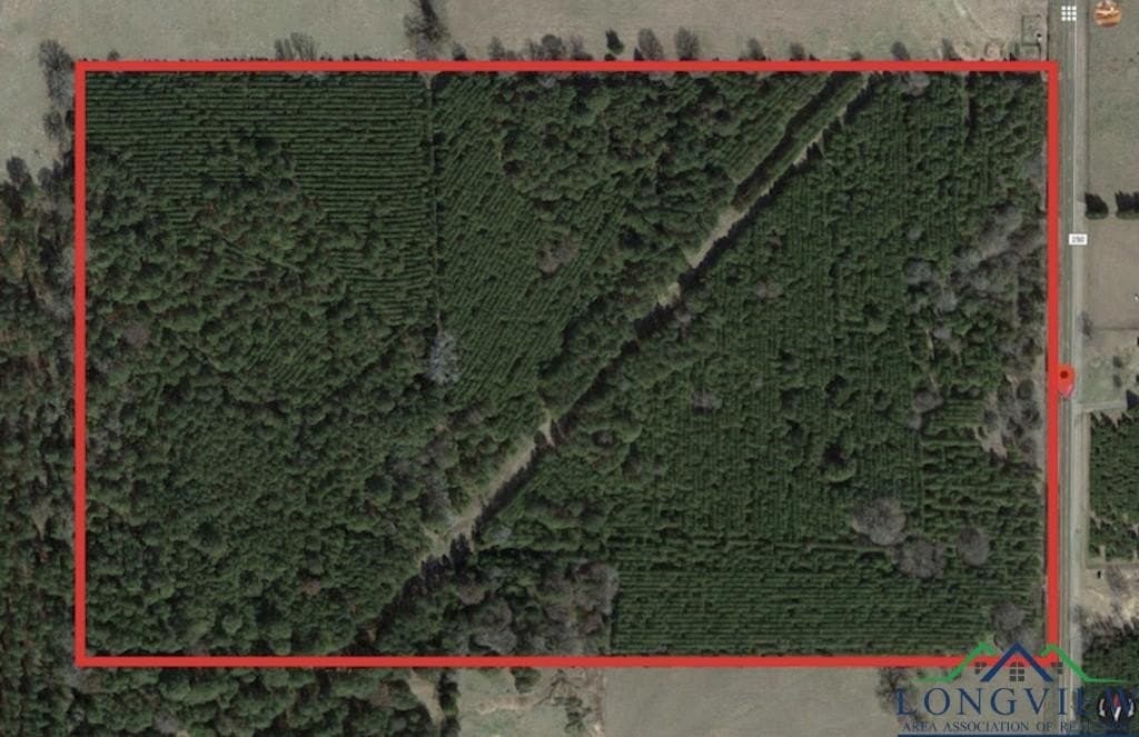 47.86 acres in Cass County - photo 5