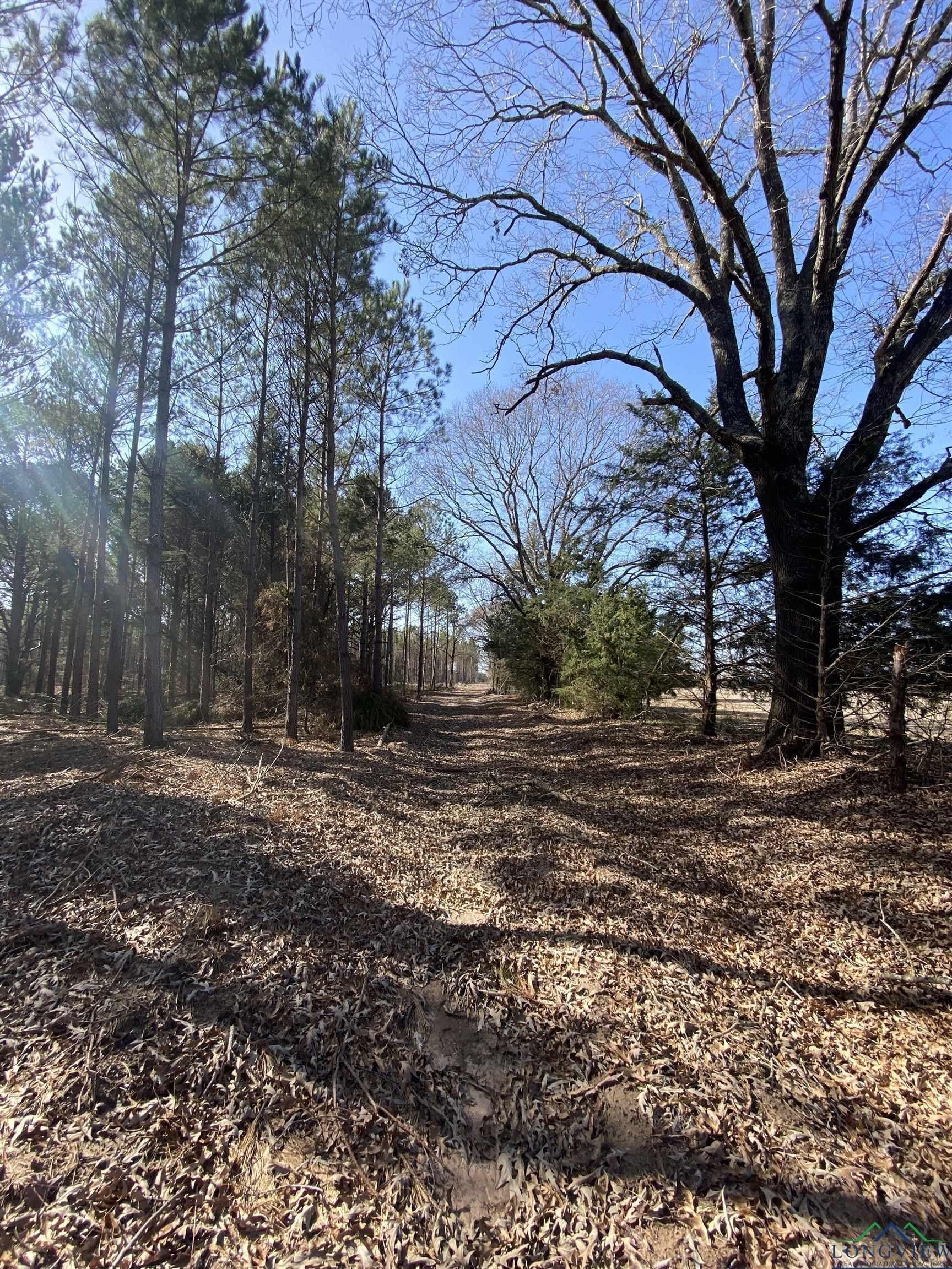 47.86 acres in Cass County - photo 6