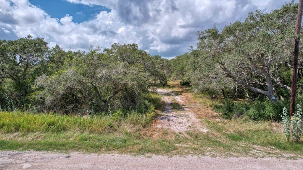 0 acres in Texas County - photo 12