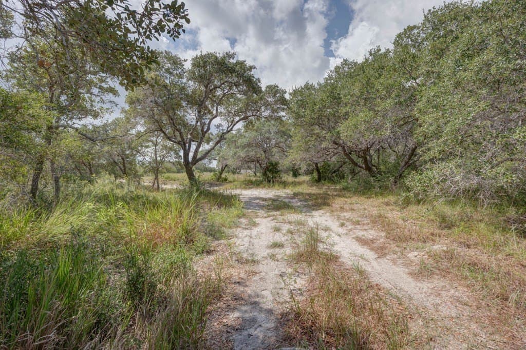 0 acres in Texas County - photo 17