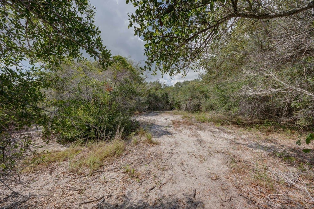 0 acres in Texas County - photo 7