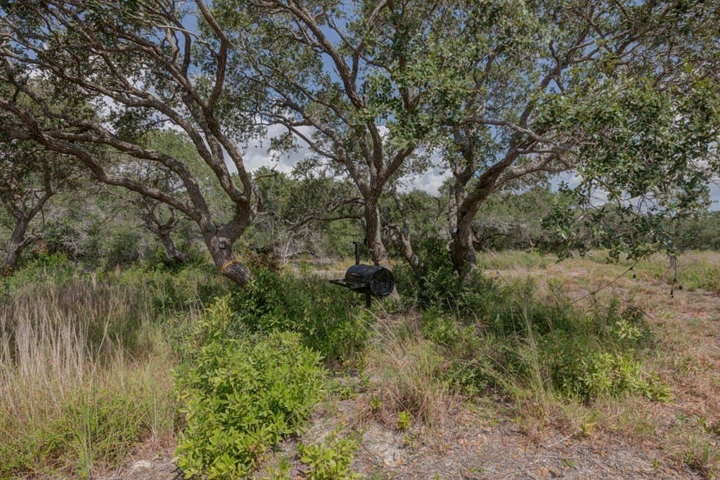 0 acres in Texas County - photo 6