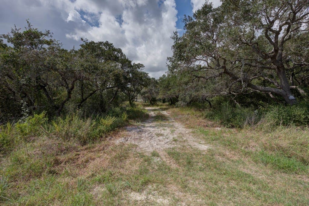 0 acres in Texas County - photo 4