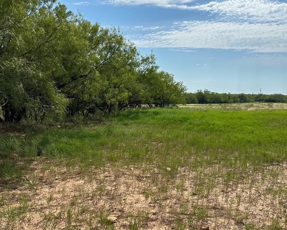13 acres in Callahan County - photo 3