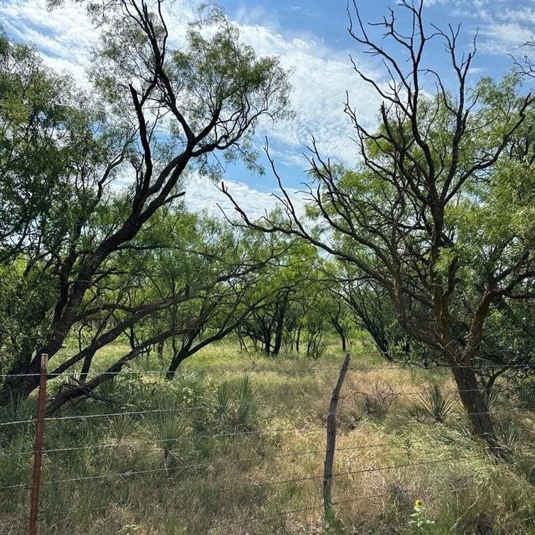 13 acres in Callahan County - photo 4