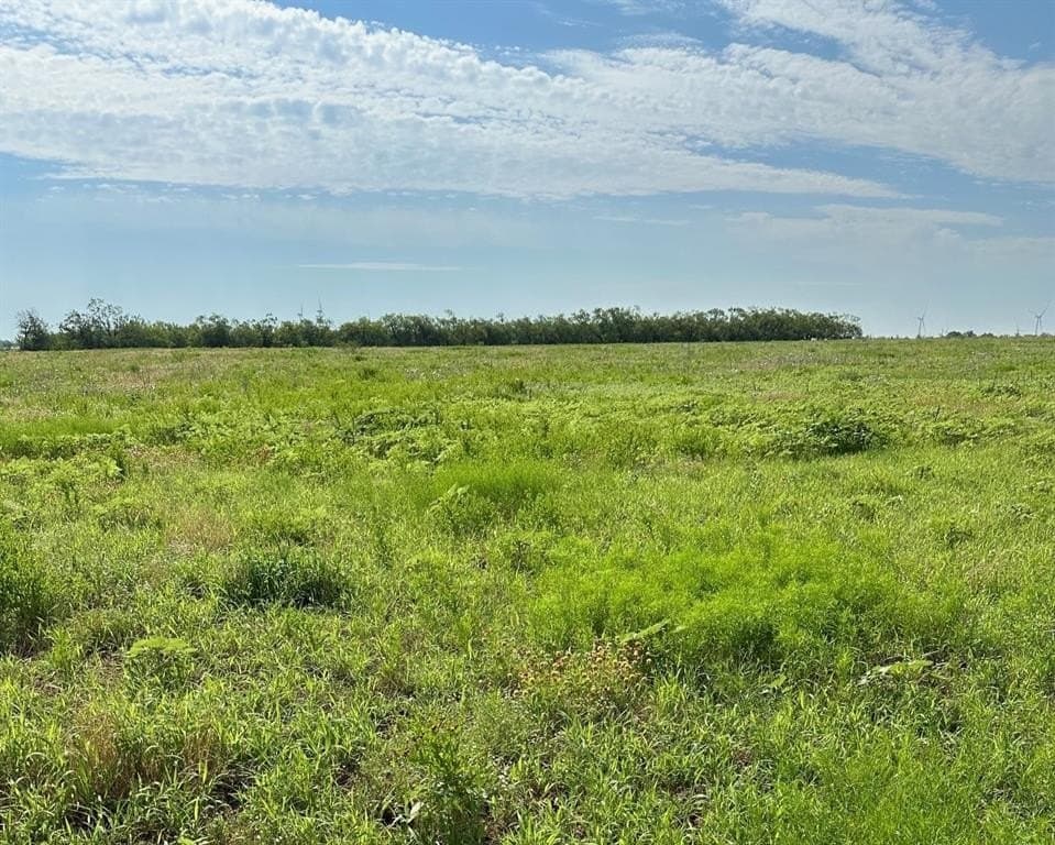 13 acres in Callahan County - photo 8