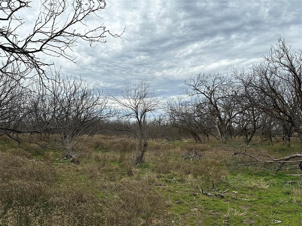 13 acres in Callahan County - photo 2