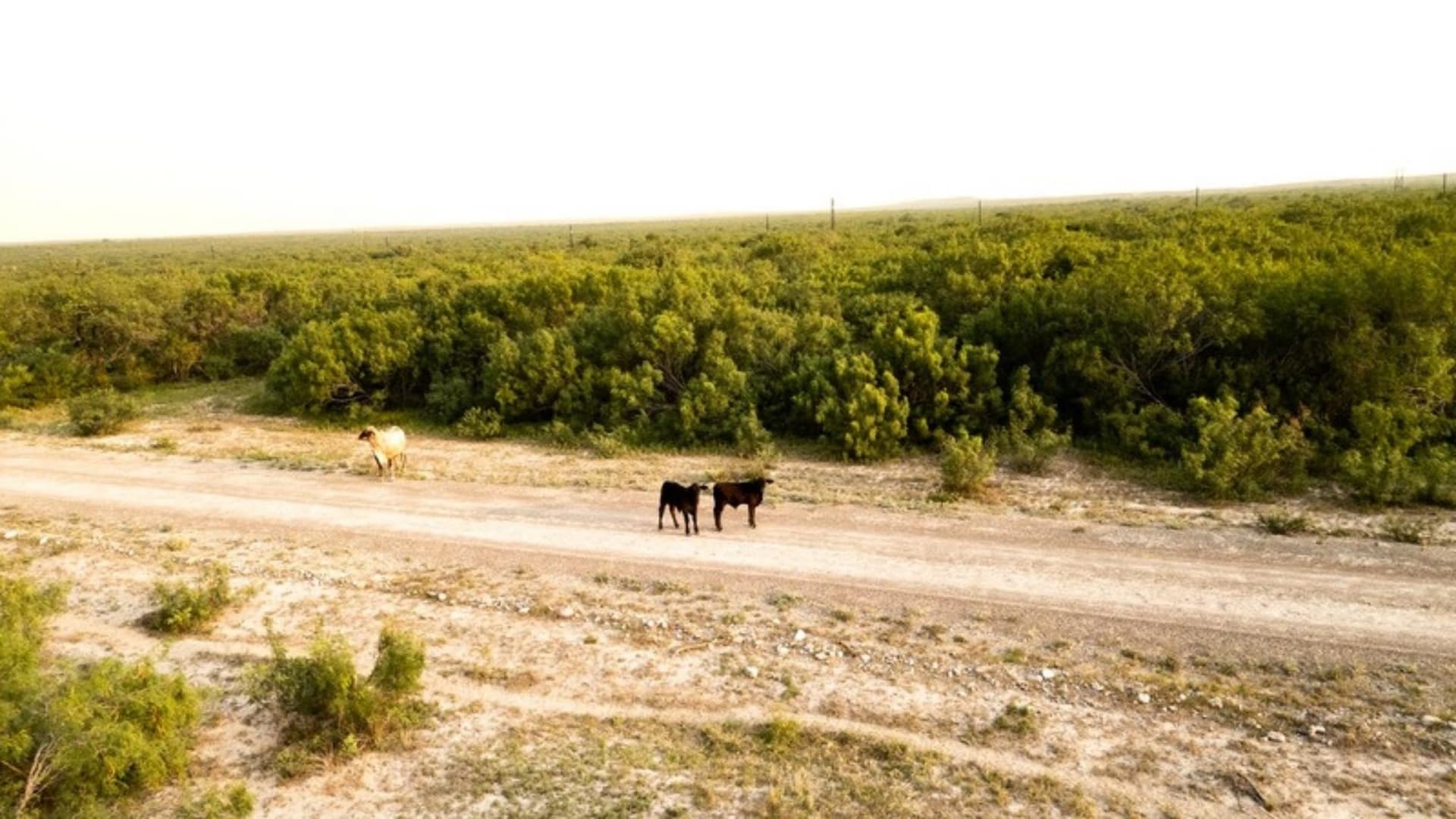 10.72 acres in Texas County - photo 7