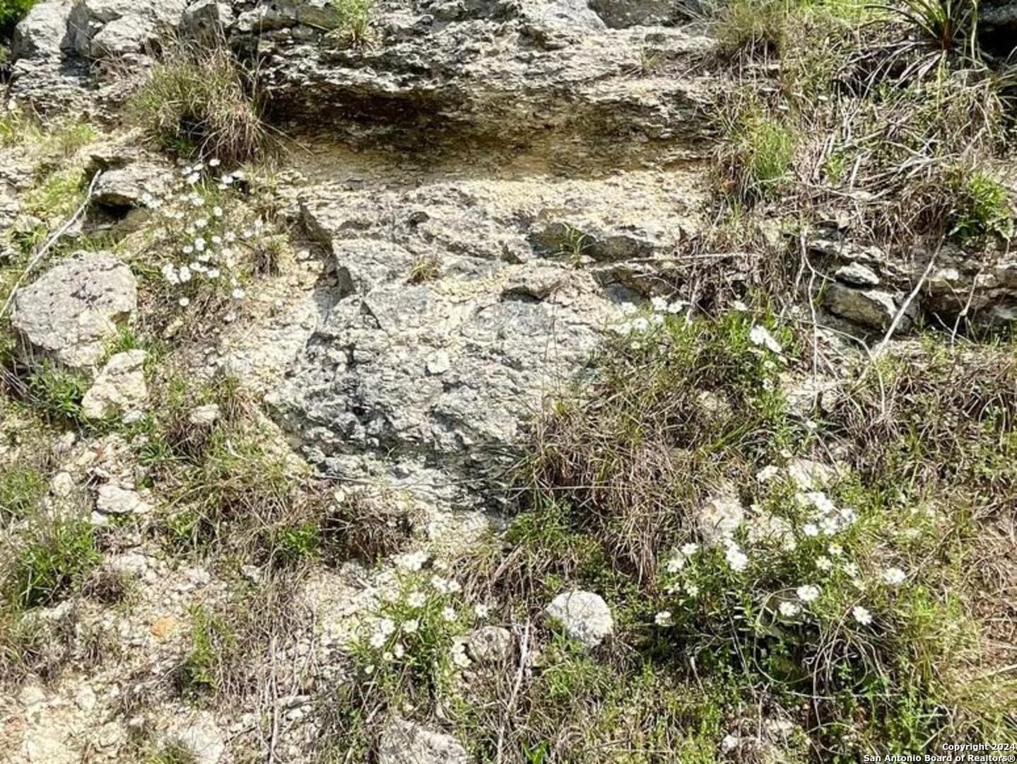 3.9 acres in Comal County - photo 6