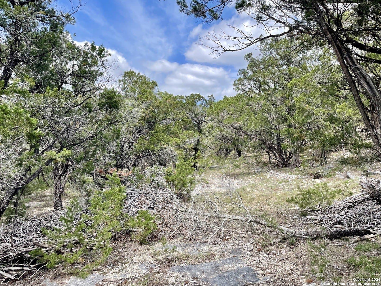 3.9 acres in Comal County - photo 10