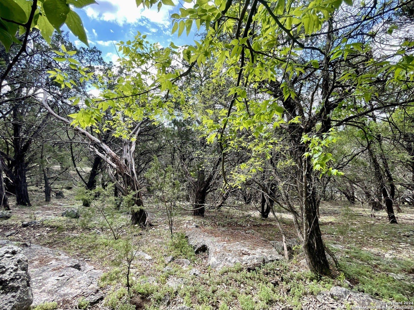 3.9 acres in Comal County - photo 22