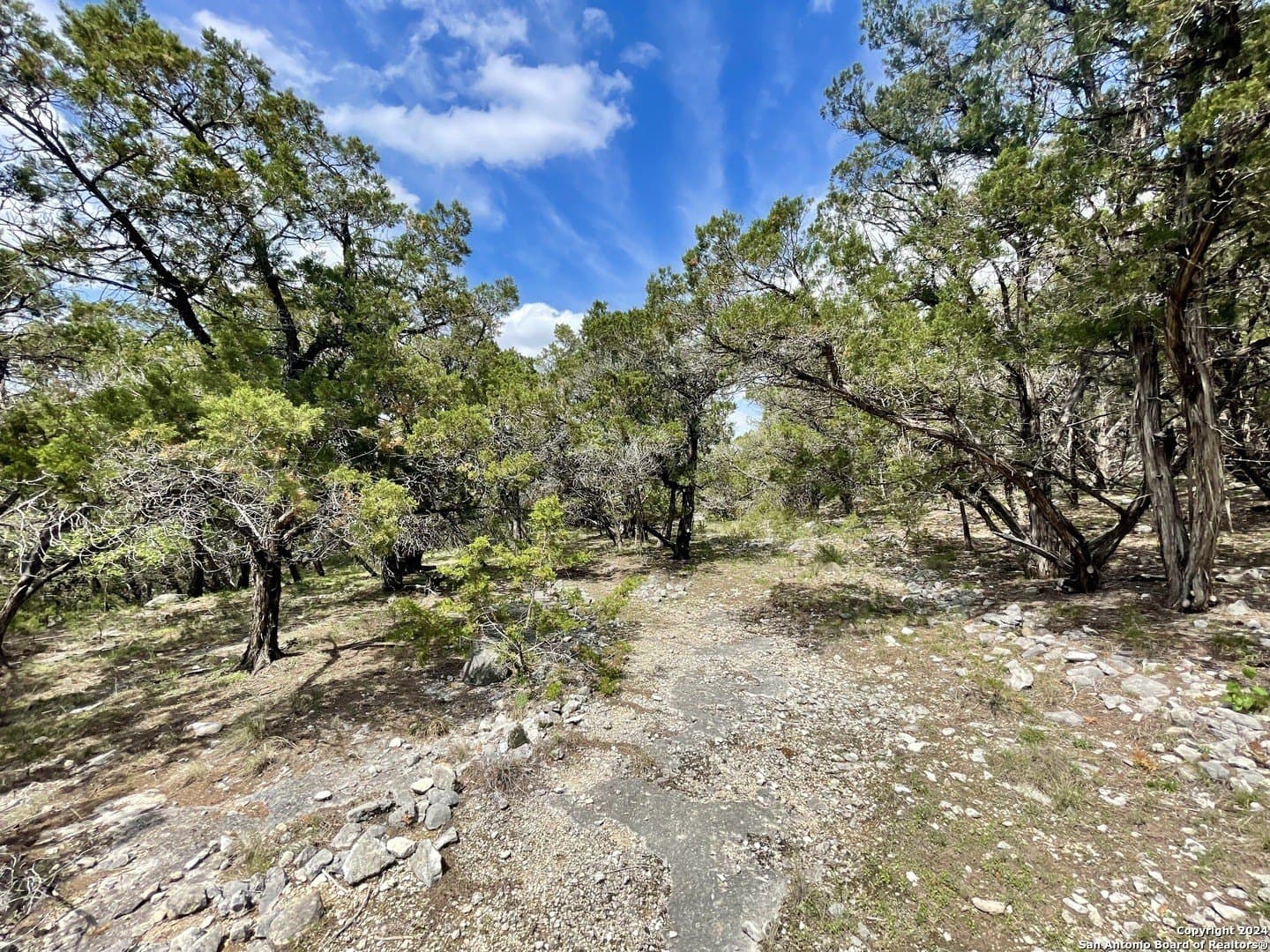 3.9 acres in Comal County - photo 12