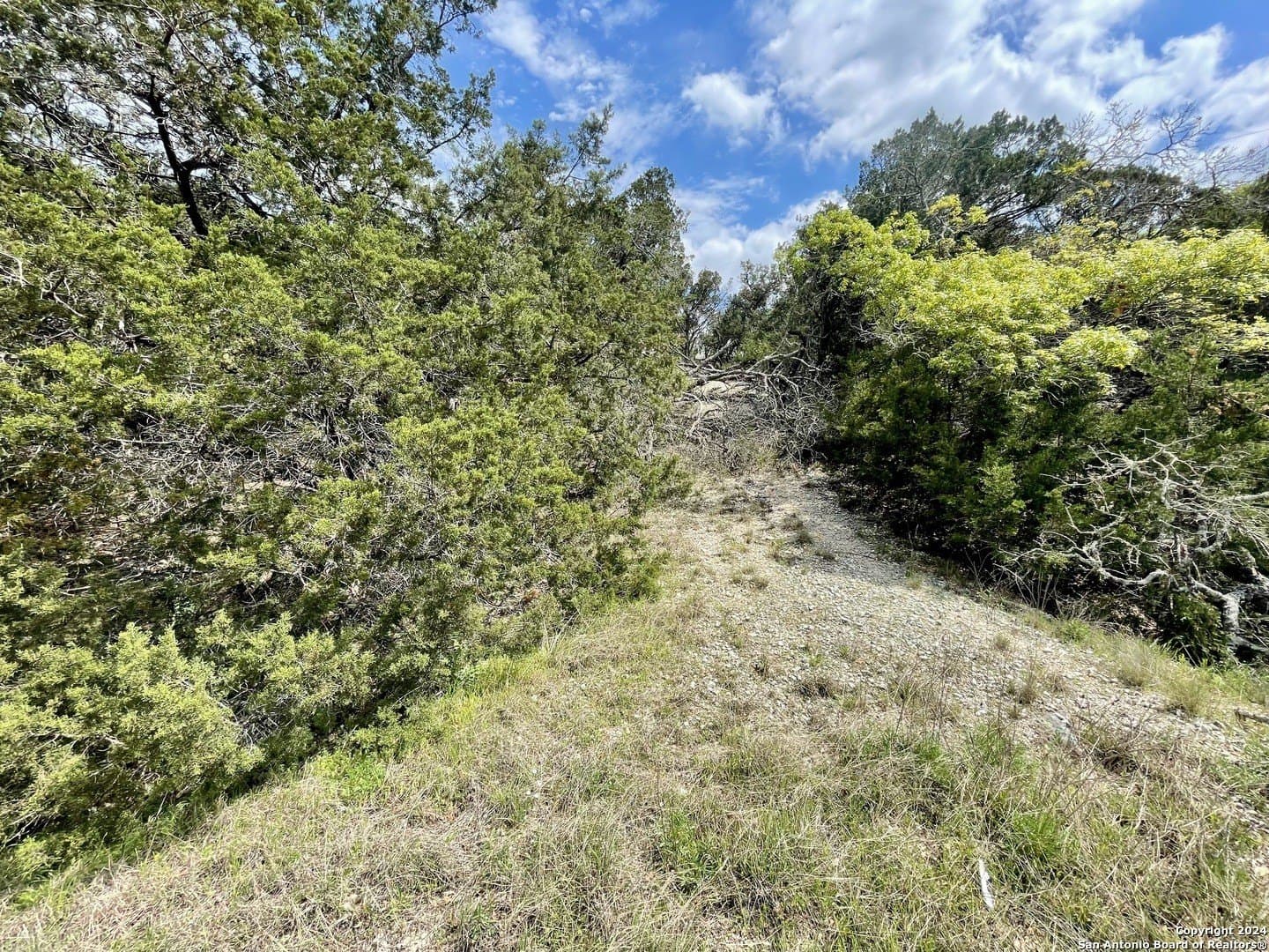 3.9 acres in Comal County - photo 8