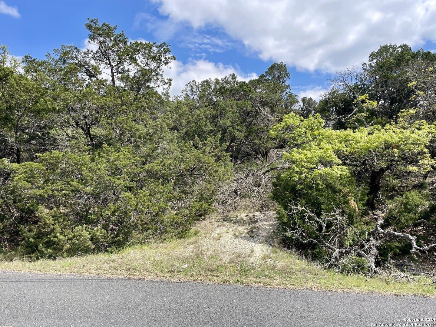 3.9 acres in Comal County - photo 7