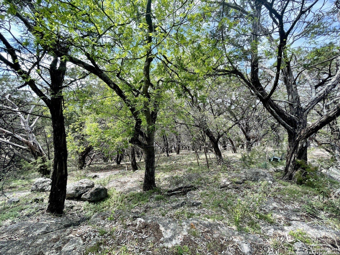 3.9 acres in Comal County - photo 17