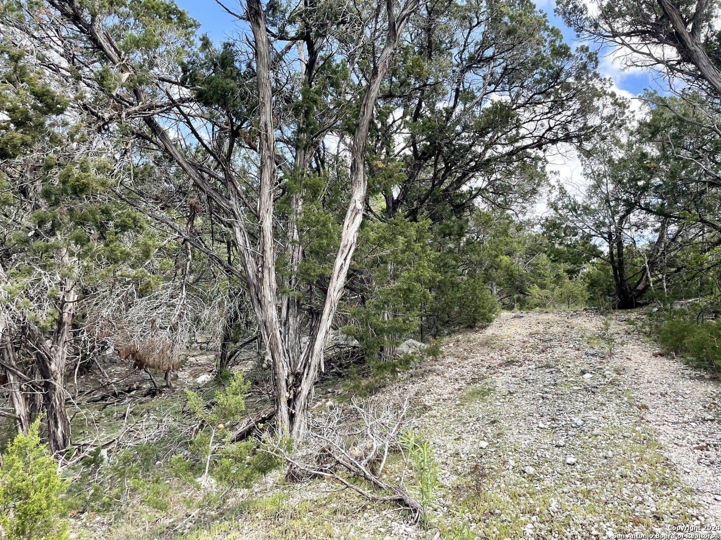 3.9 acres in Comal County - photo 11