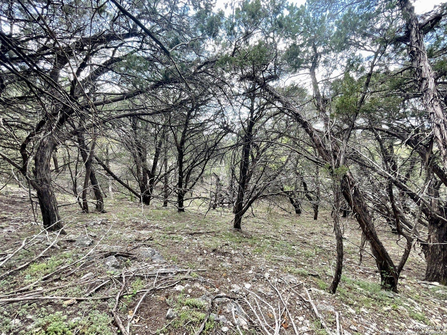 3.9 acres in Comal County - photo 21