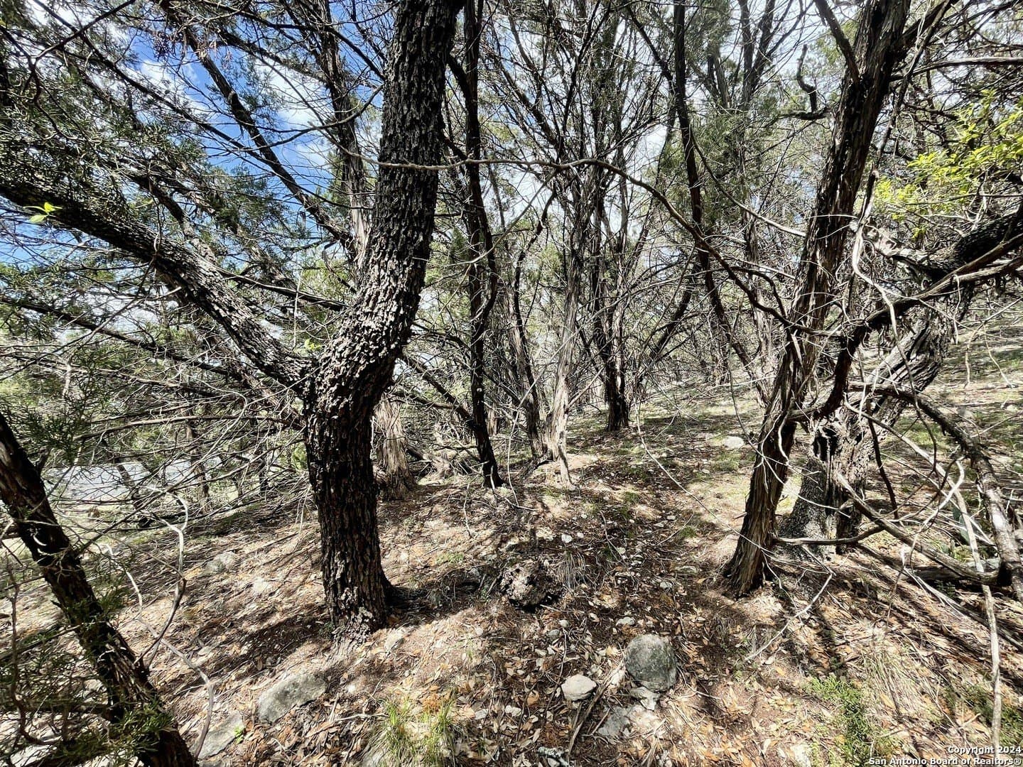 3.9 acres in Comal County - photo 26