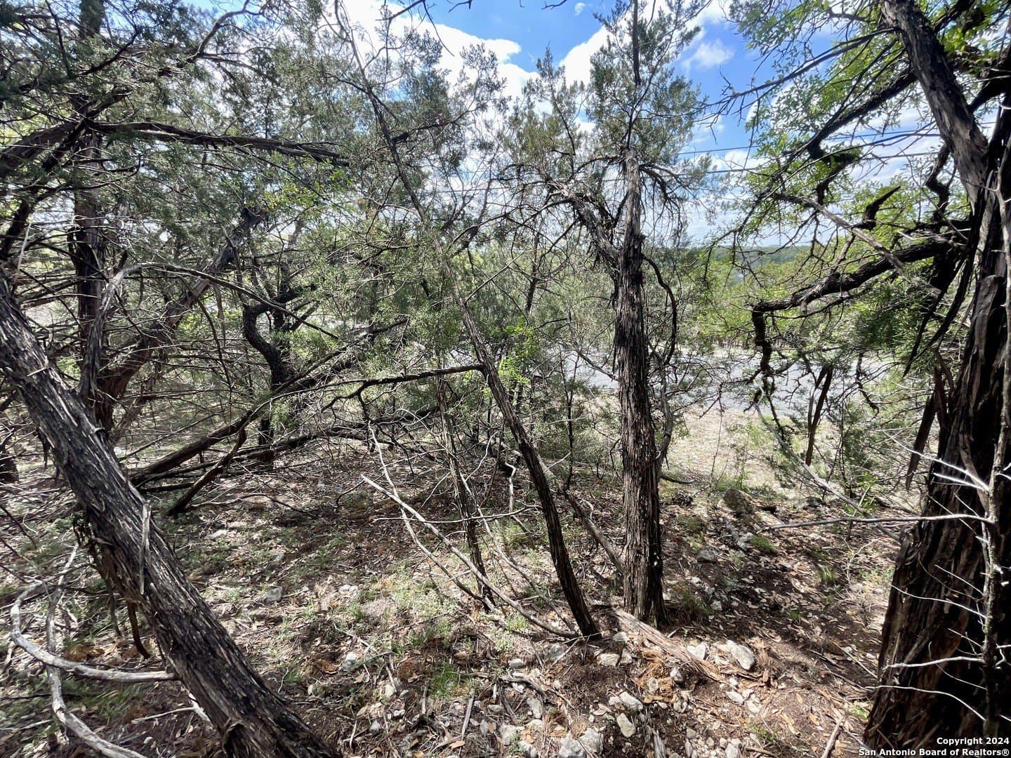 3.9 acres in Comal County - photo 25