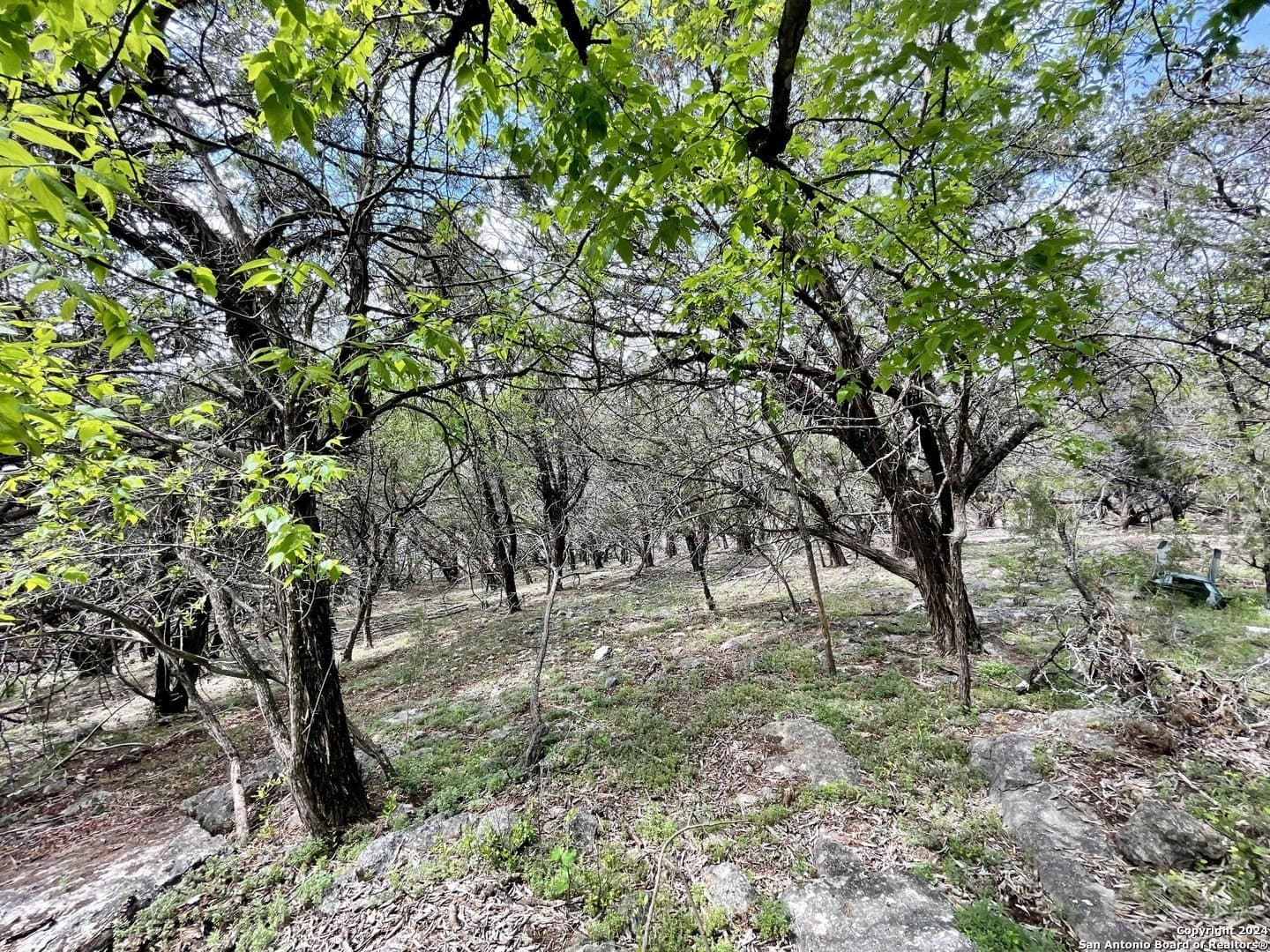 3.9 acres in Comal County - photo 18