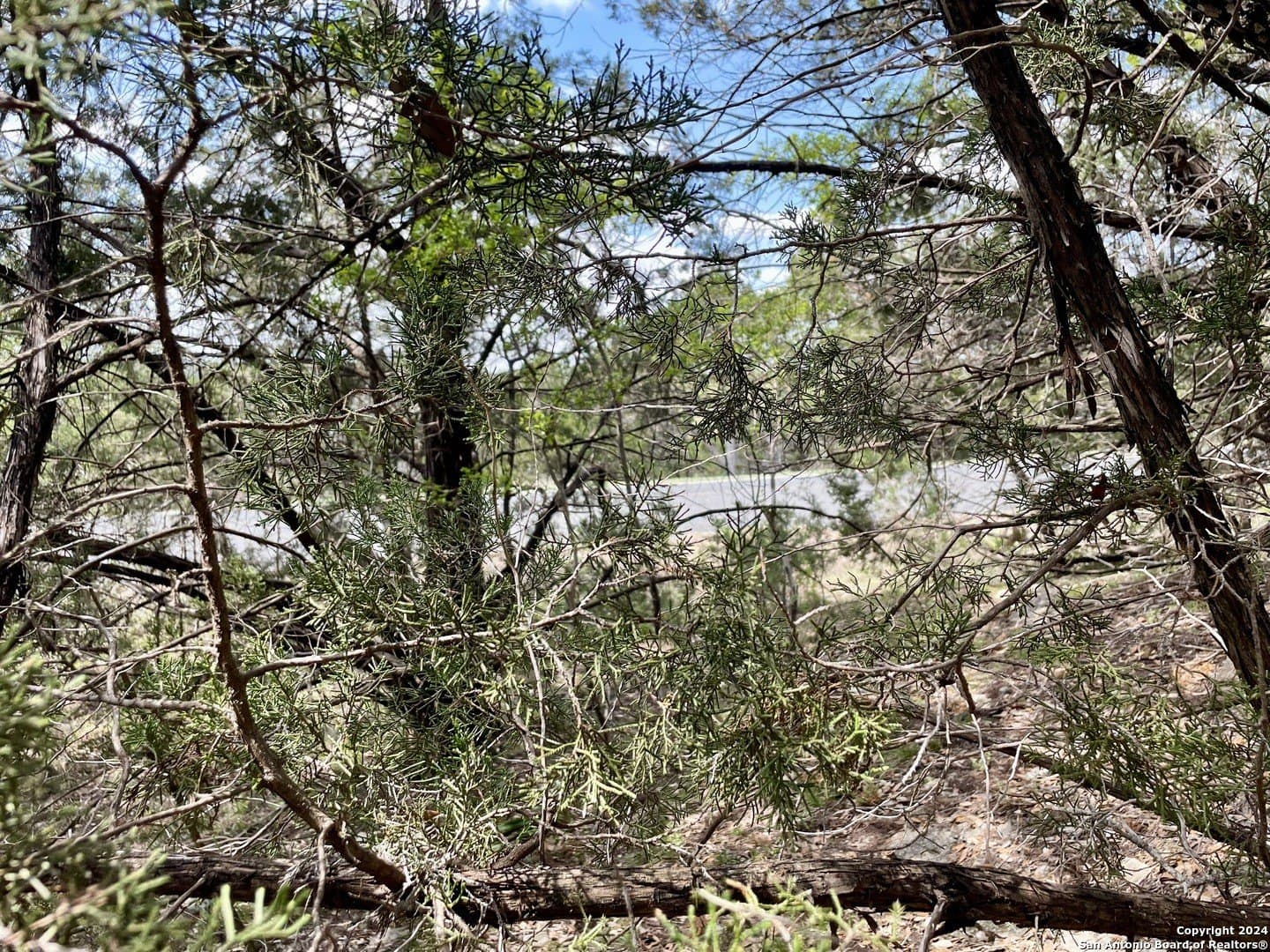 3.9 acres in Comal County - photo 27