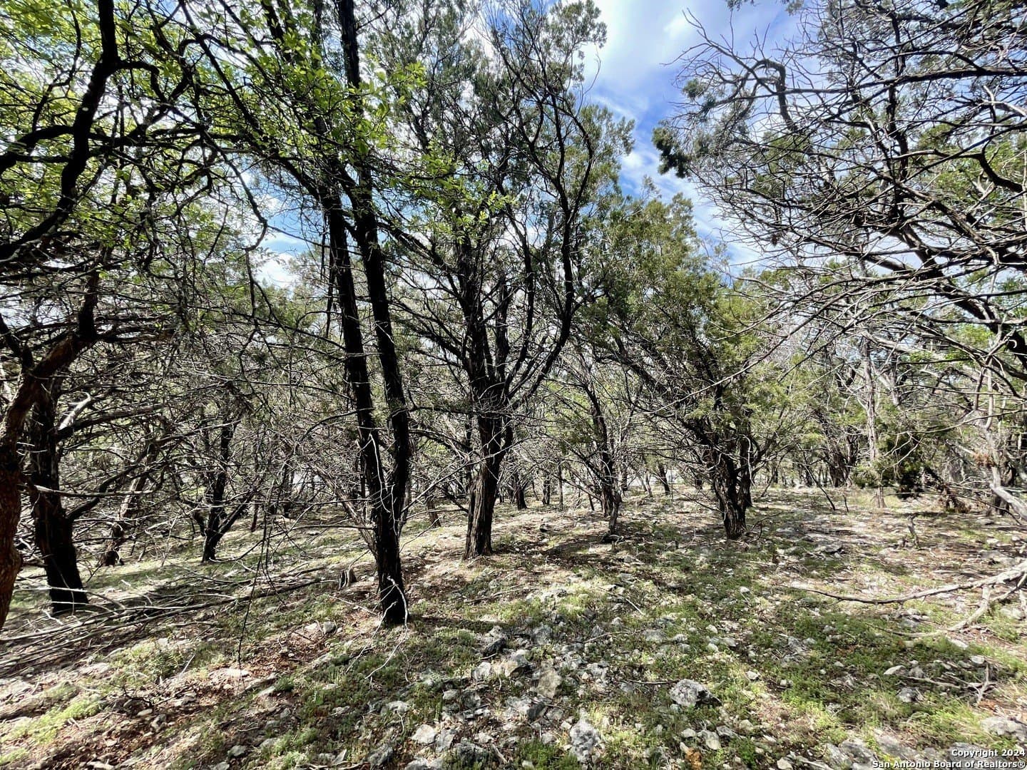 3.9 acres in Comal County - photo 19