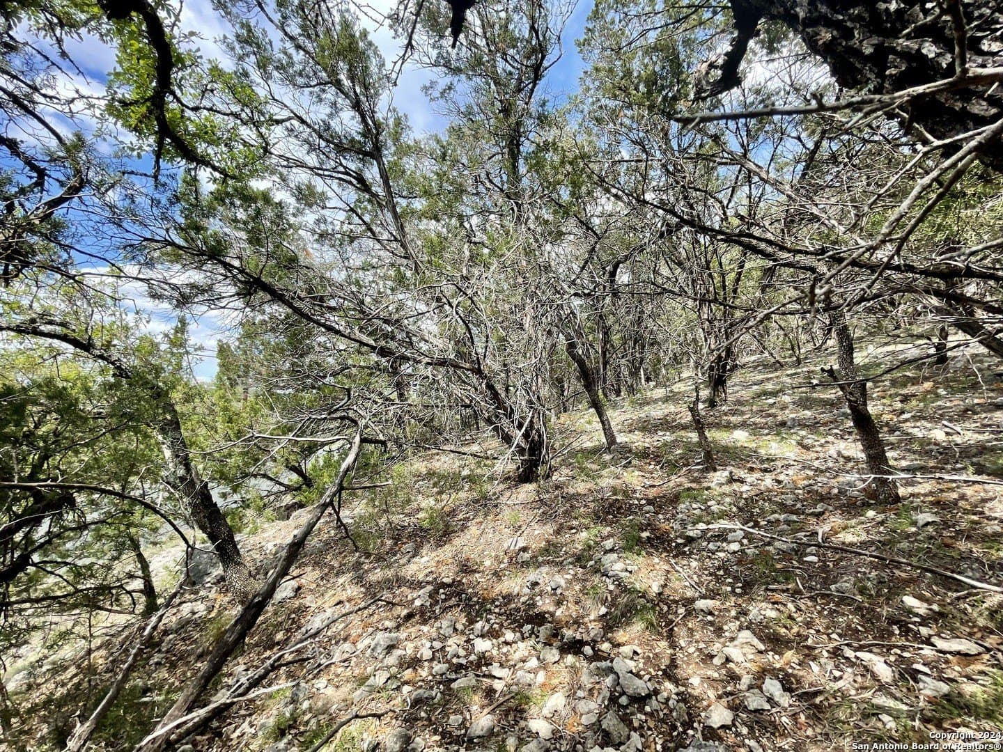 3.9 acres in Comal County - photo 24