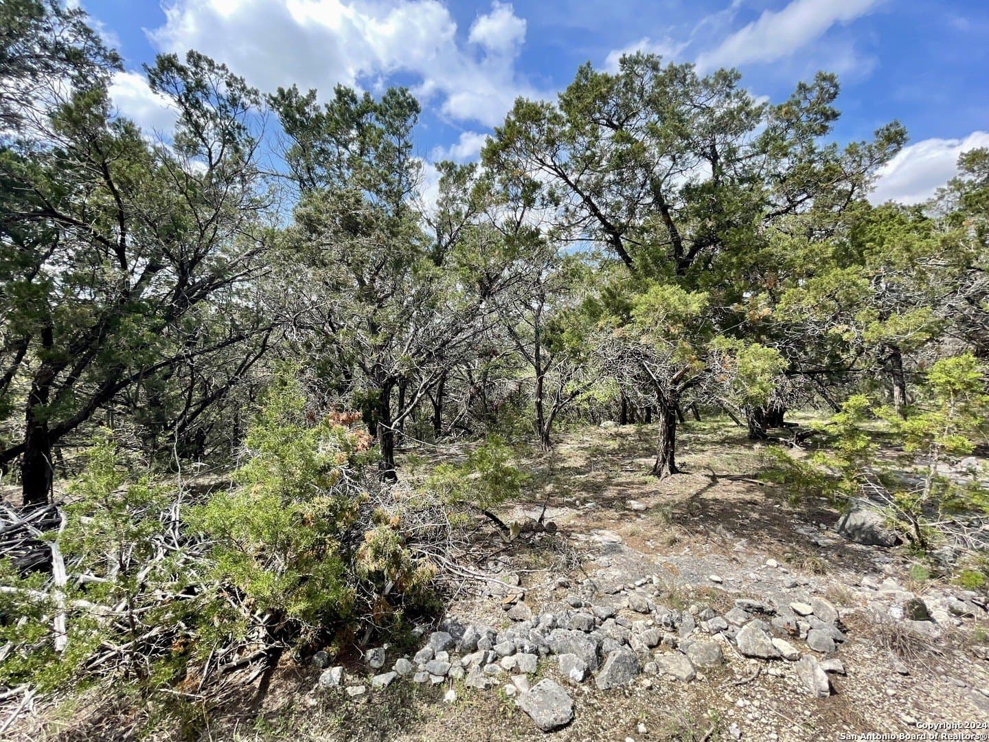 3.9 acres in Comal County - photo 13