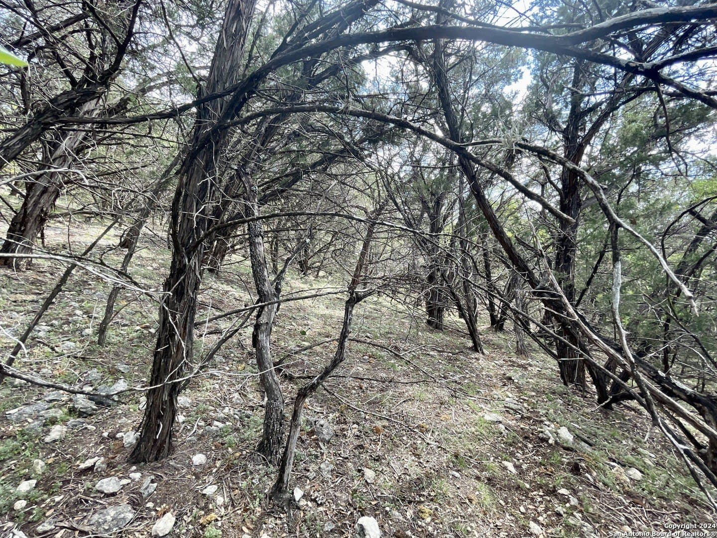 3.9 acres in Comal County - photo 23