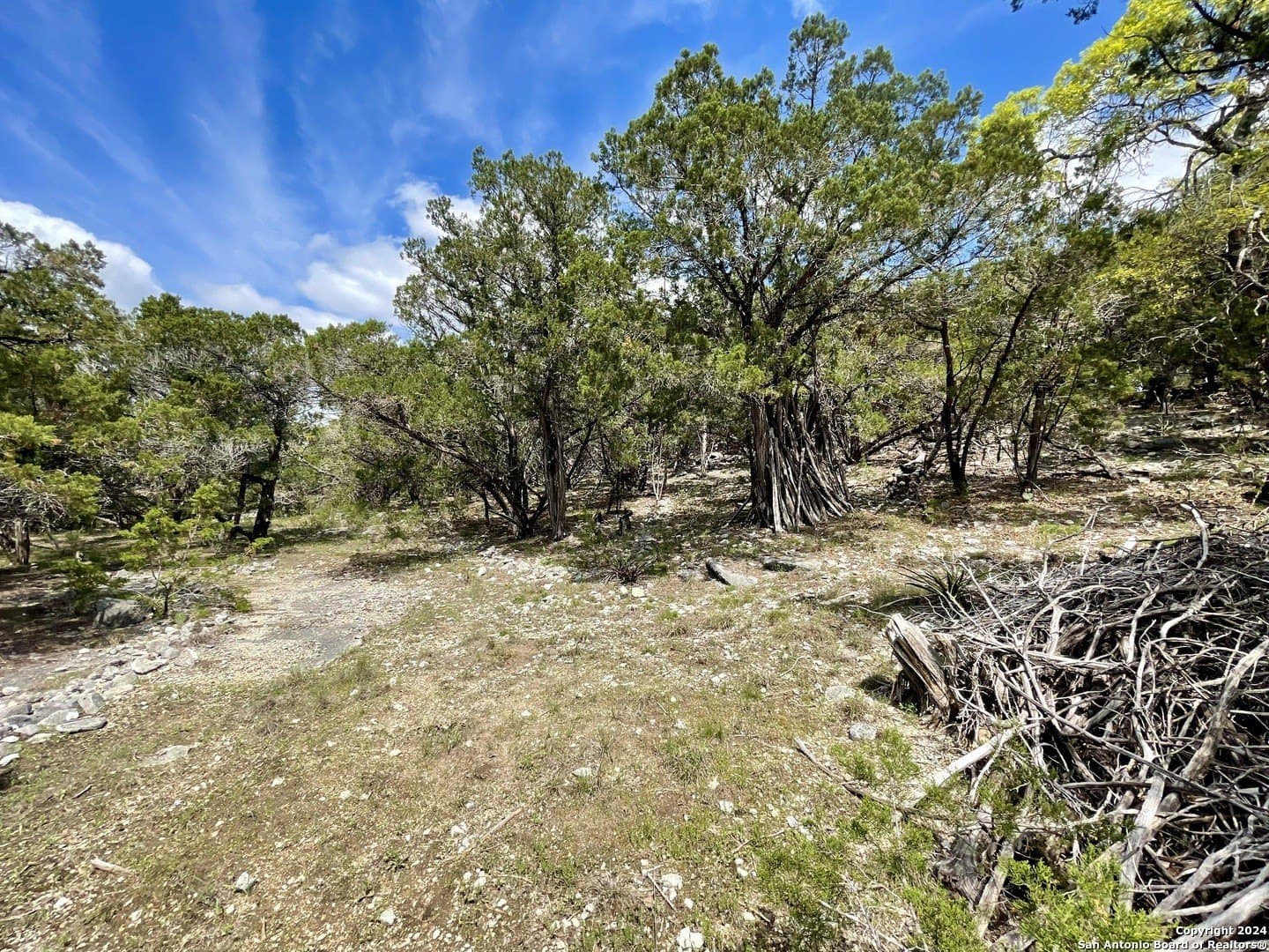 3.9 acres in Comal County - photo 14