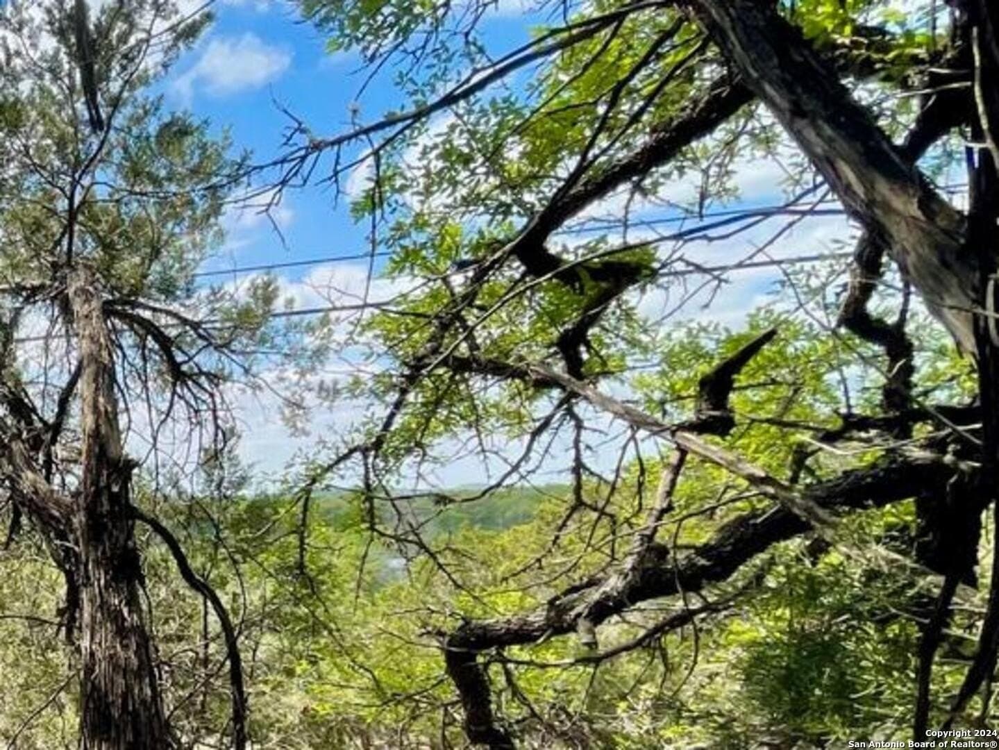3.9 acres in Comal County - photo 16