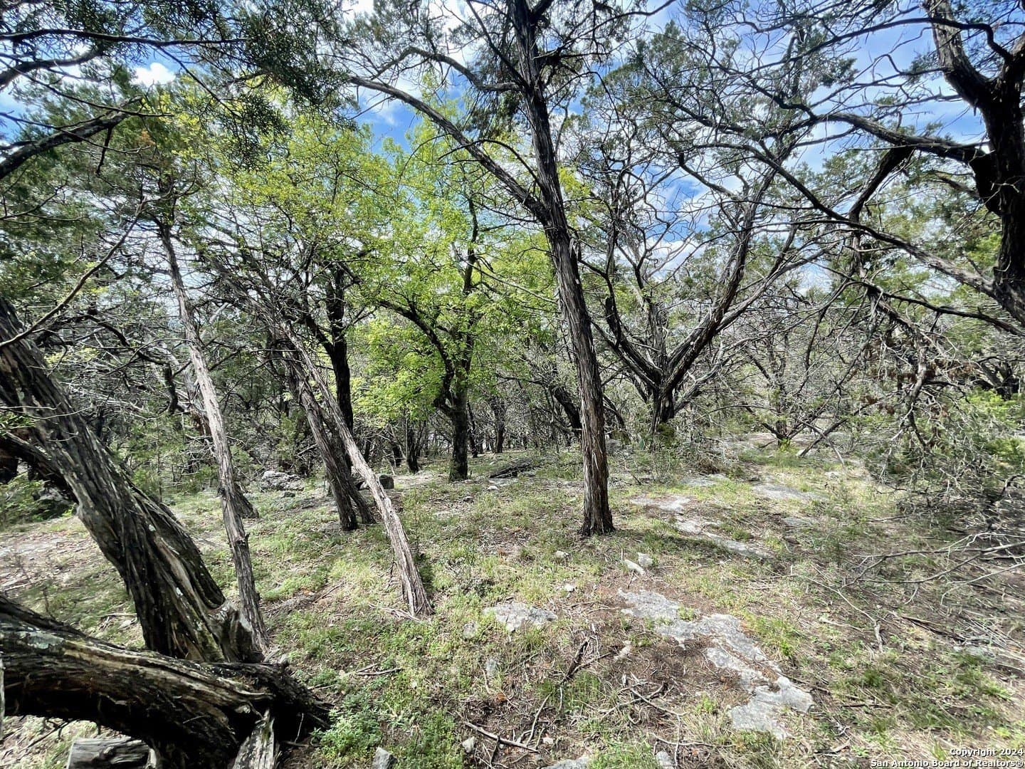 3.9 acres in Comal County - photo 15