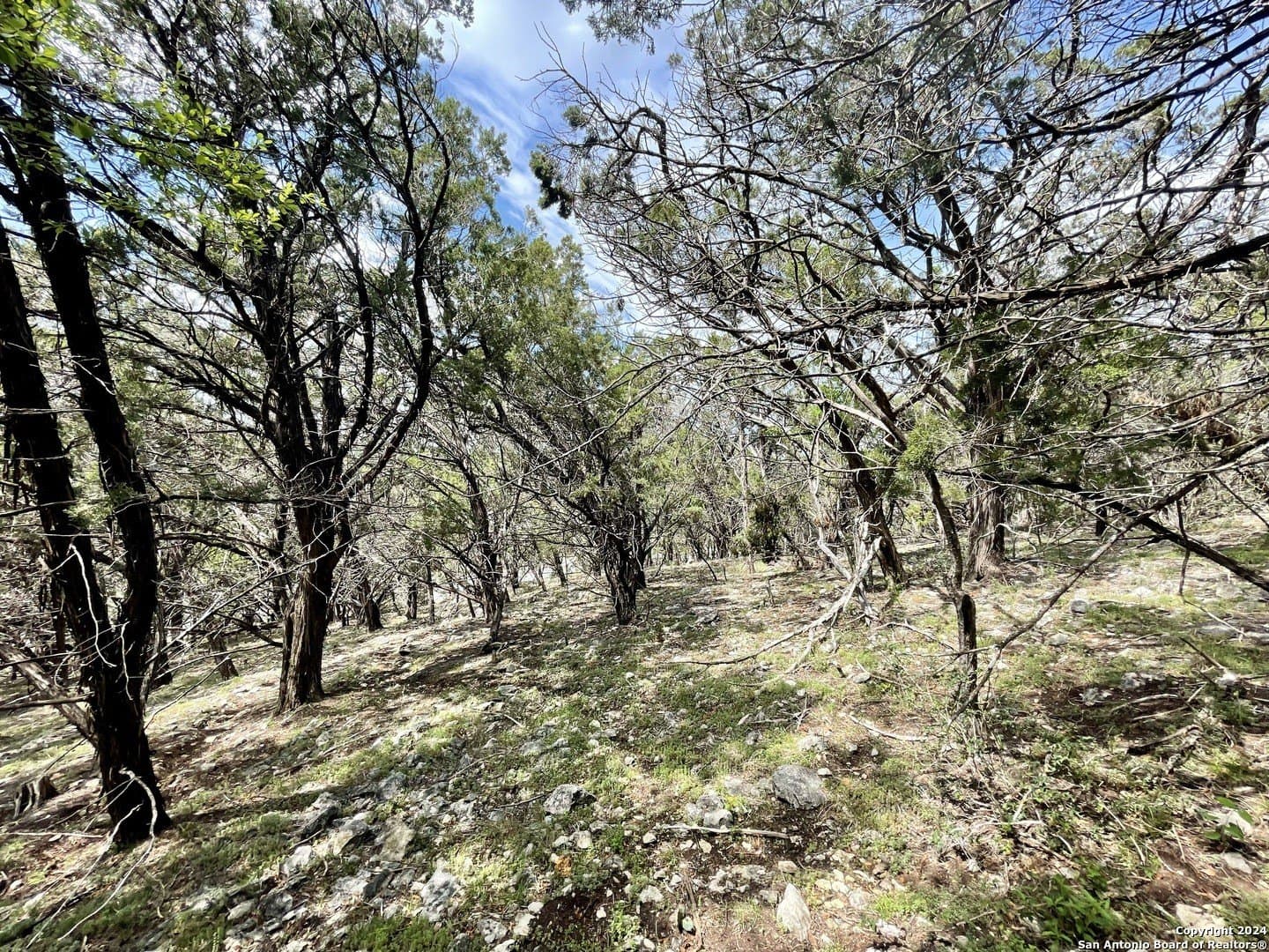 3.9 acres in Comal County - photo 20