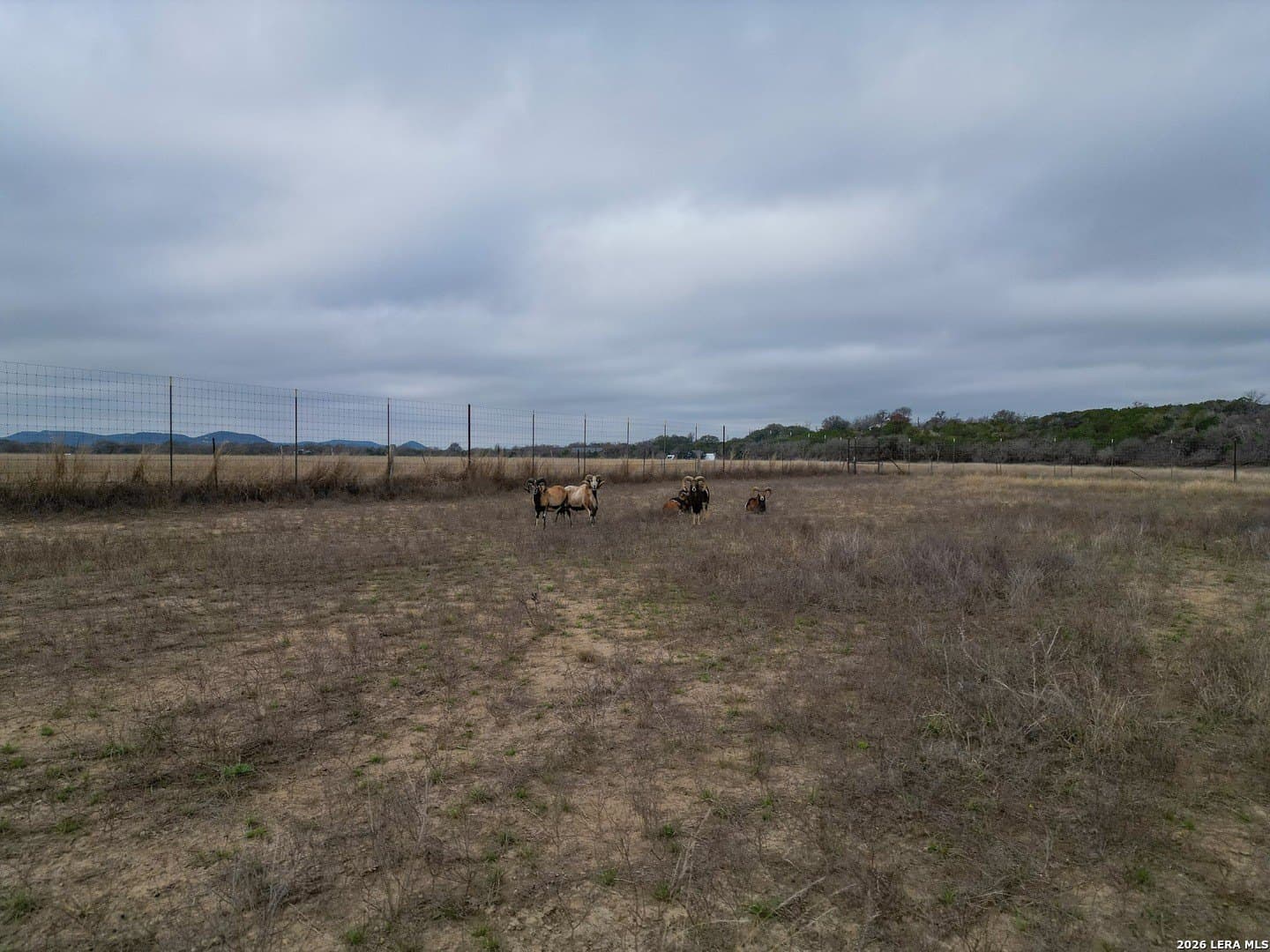10.22 acres in Bandera County - photo 41