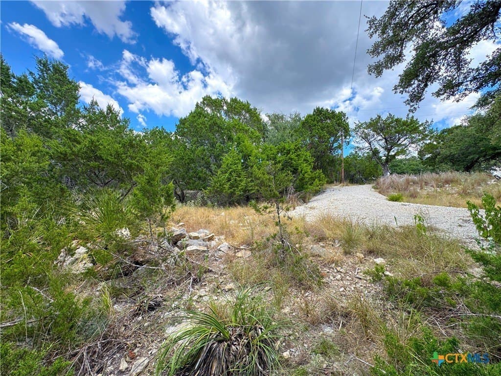 0.91 acres in Comal County - photo 10